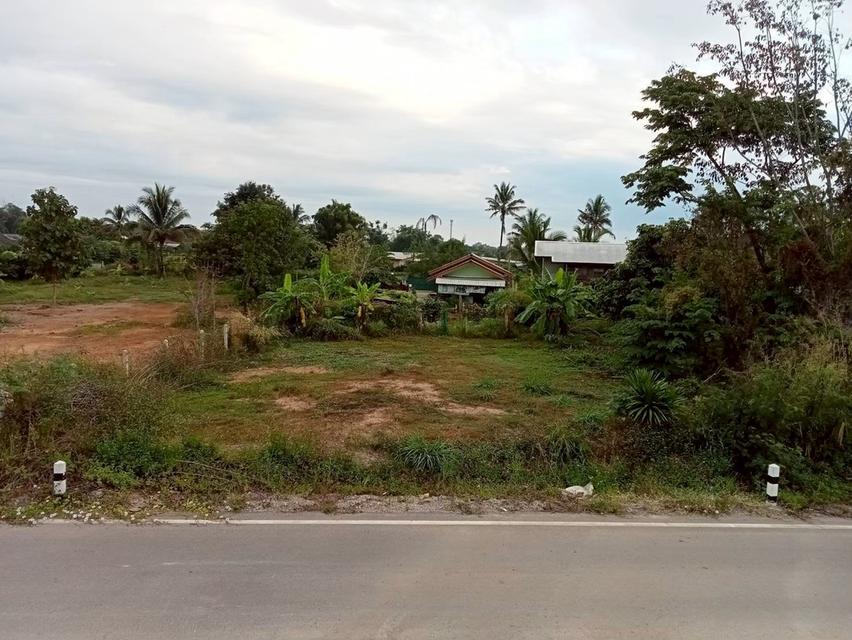 บ้านพร้อมที่ดิน เชียงราย 9