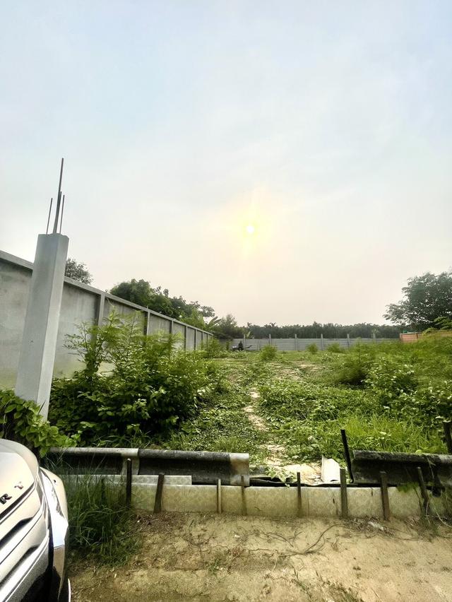 ขายที่ดิน 140 ตรว พุทธมณฑลสาย2  ใกล้พรานกตัดใหม่-สาย4 5
