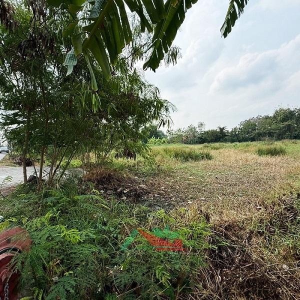 ขายที่ดินเปล่า2-1-62ไร่ ถมแล้ว ซ.เชื่อมสัมพันธ์25 ราคาพร้อมคุย 3