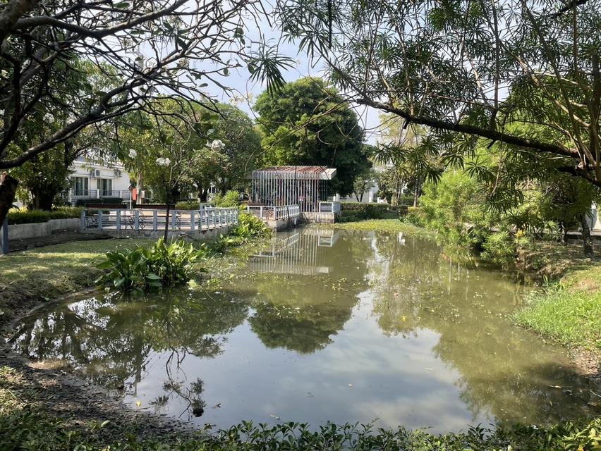 บ้านเดี่ยวรีโนเวทใหม่ สวยหรู พร้อมอยู่ตั้งอยู่ในโครงการคุณภาพ “Perfect Place สุวรรณภูมิ 2” โดย Property Perfect 17