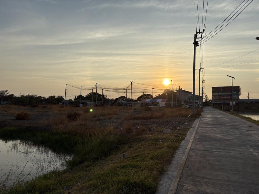 ขายที่ดิน 2 ไร่ จังหวัดสมุทรปราการ 5