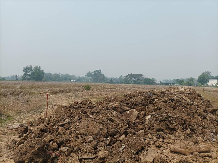 ขายที่ดิน 9,900บาท/ตร.ว. ต.สันปูเลย อ.ดอยสะเก็ด จ.เชียงใหม่ 10