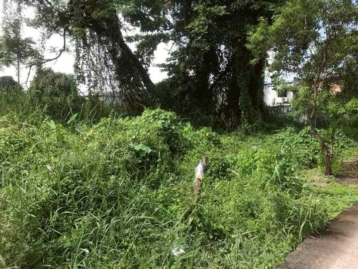 ที่ดิน 6