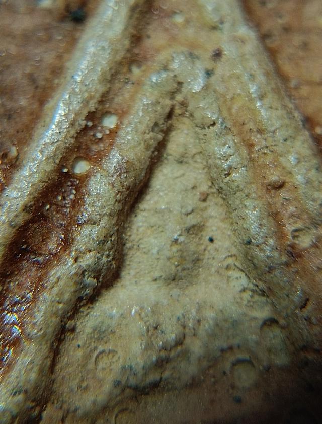 พระผงของขวัญหลวงพ่อสด 7