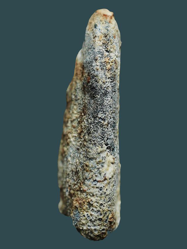 พระปิลันท์ ครอบแก้วเล็ก วัดระฆัง...เก่า เดิมๆ 3