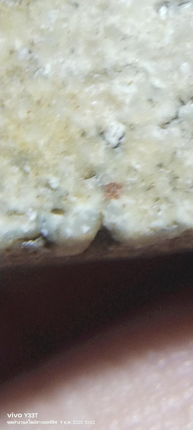 พระสมเด็จวัดระฆังพิมพ์ใหญ่ รูปที่ 12