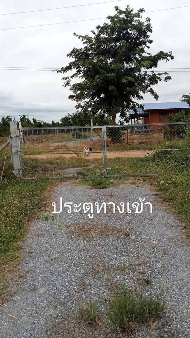 ทีดินพร้อมบ้านพัก ขนาด 3 ไร่ 4