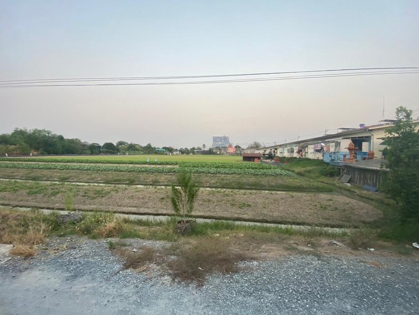 ขายที่ดินบางบัวทอง นนทบุรี 2