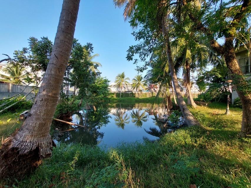 ที่ดิน พร้อมบ้านอาคาร บึงนำ้ ชานเมืองภูเก็ต 4 ไร่เศษ มีรั้วเรียบร้อย อยู่ในชุมชุน เข้าออกสองด้าน 55 ล้าน ไม่เน้นนายหน้า สอบถามเพิ่มเติม อินบ๊อก 6