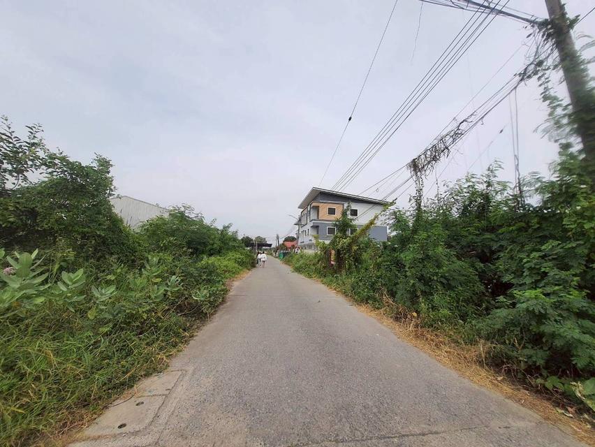 Vายที่ดินใกล้โรบินสันสมาน 172.5 ตารางวา ติดถนนคอนกรีตสาธารณะ ศรีสมาน ซอย 5 อ.ปากเกร็ด จ.นนทบุรี 7