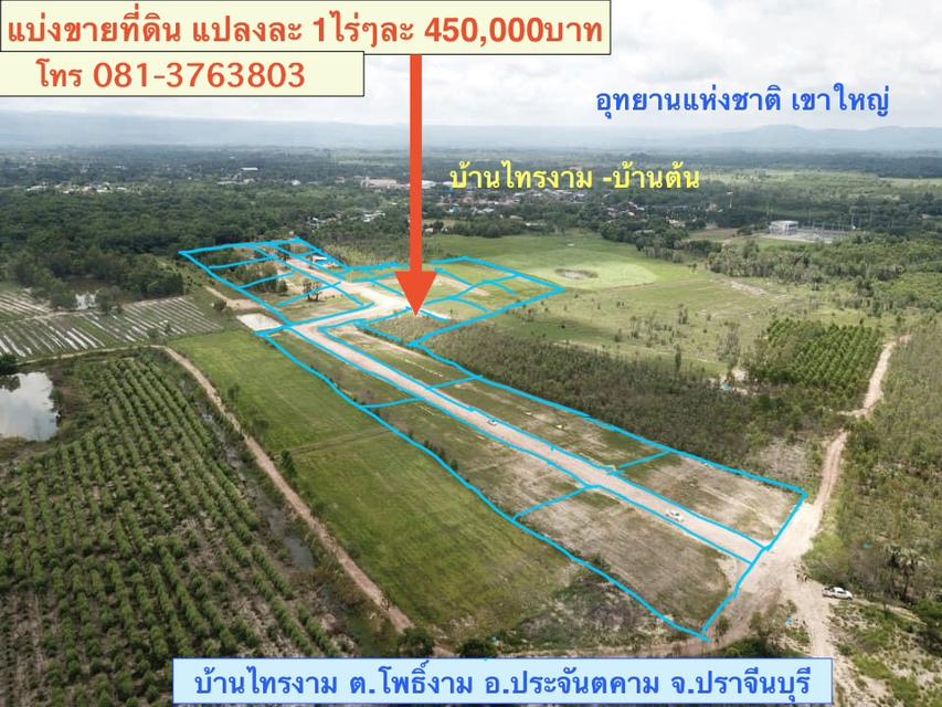 แบ่งขายที่ดิน 1ไร่ๆละ4.5แสนบาท  ( เหลือ 8แปลงสุดท้าย)  *อยู่ในแหล่งชุมชน บรรยากาศดี  *ต.โพธิ์งาม อ.ประจันตคาม จ.ปราจีนบุรี 1