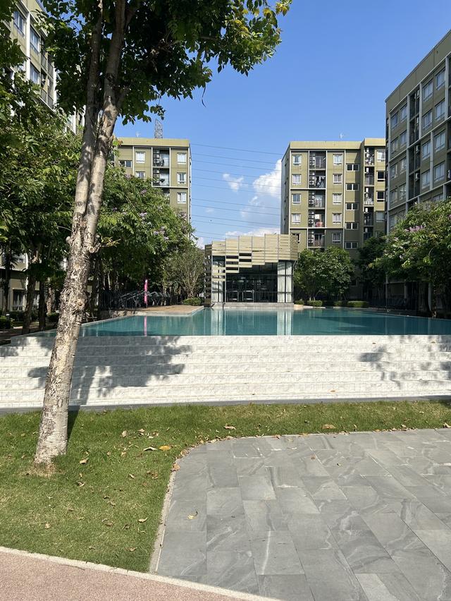 คอนโด พลัม คอนโด อไลฟ์ 2 plum condo alive 2 11