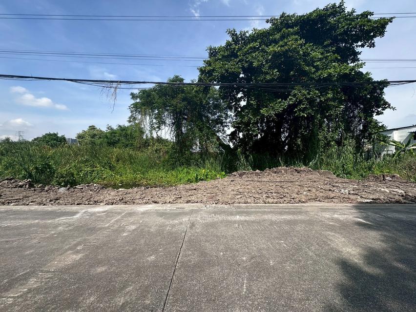 ที่ดิน 7