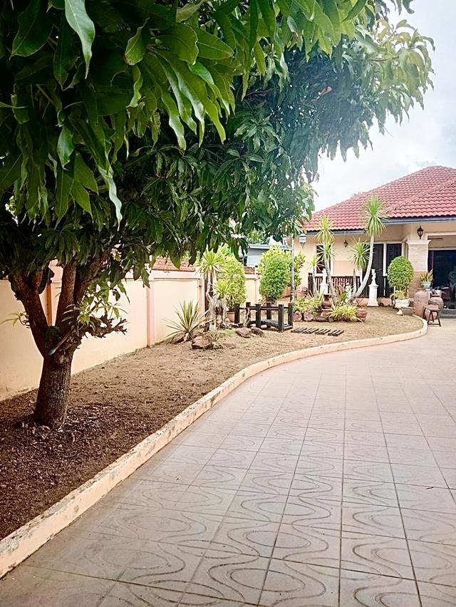 บ้านมือสองดอยสะเก็ดเชียงใหม่ 2