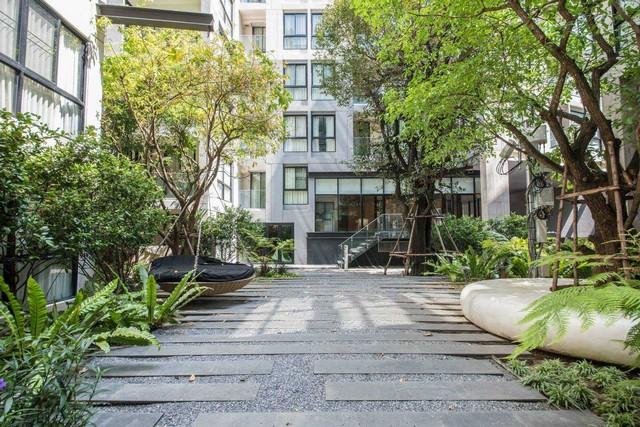 ให้เช่าคอนโด Luxury Liv At 49 ลิฟ แอท ฟอร์ตี้นาย แขวงคลองเตยเหนือ เขตวัฒนา,กรุงเทพมหานคร 1