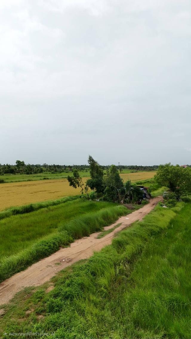 ขายที่ดินจัดสรร องครักษ์ นครนายก เหมาะสร้างบ้าน โฉนดครุฑแดง พร้อมโอน 3