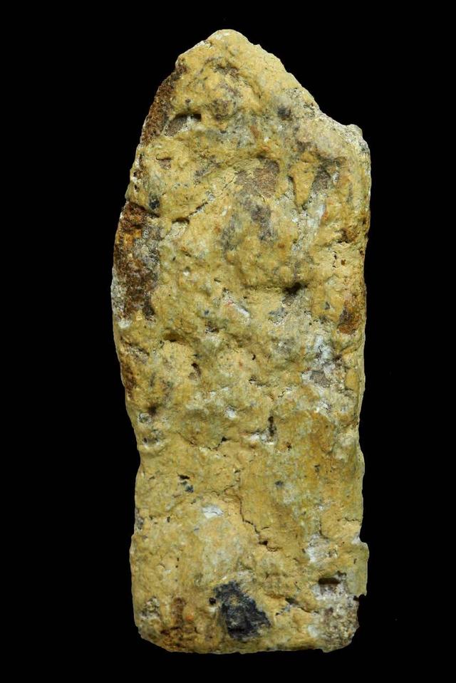 เนื้อว่านหน้าทอง เปิดจ้า รูปที่ 2