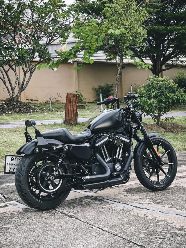 Harley Davidson Iron สภาพสวยๆ