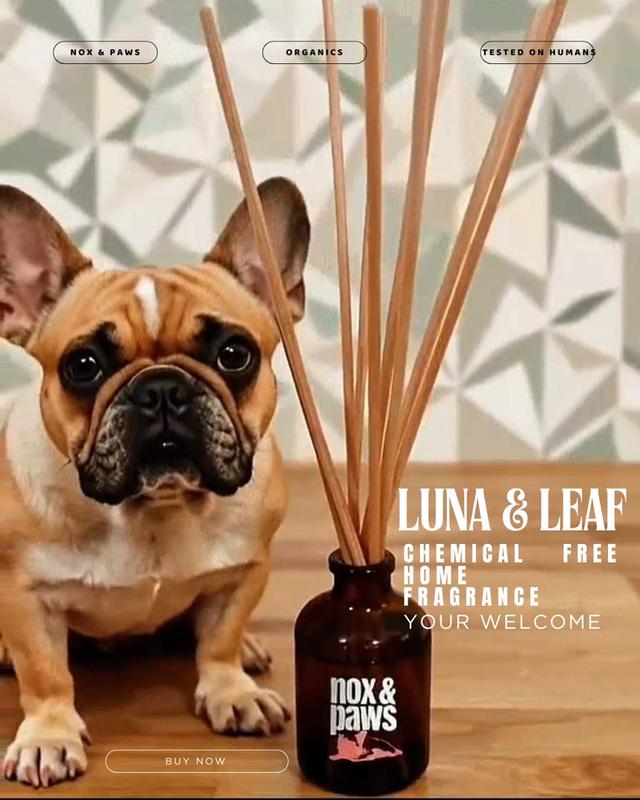ก้านไม้หอม Nox & Paws กลิ่น Luna & Leaf