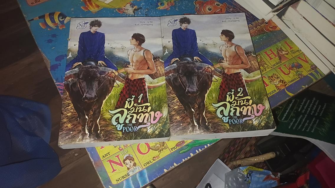 นิยายสองมือราคาน่ารัก