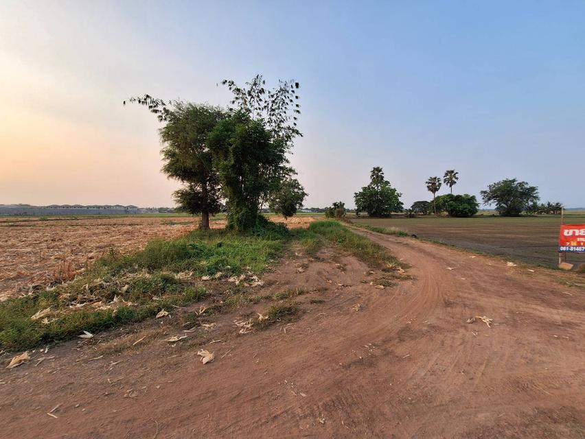 ที่ดินมีทางเข้าออก โฉนดครุฑแดง มีทางเข้าออด เจ้สของขายเอง 9
