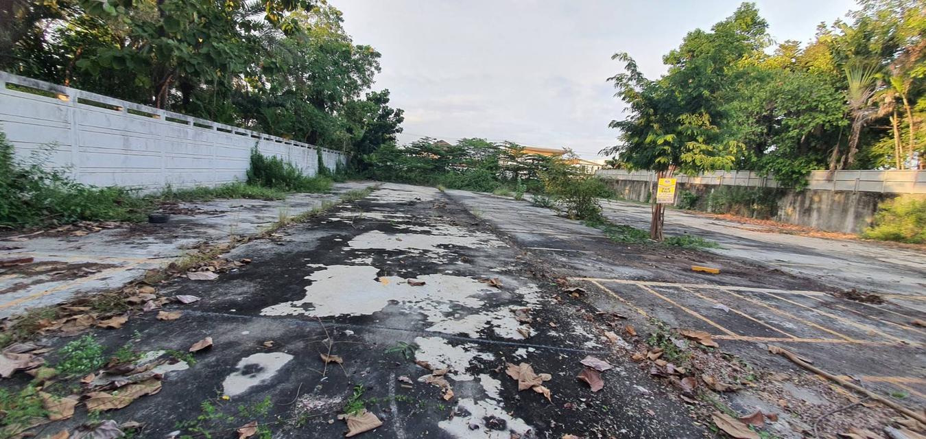 ขายที่ดิน 1 ไร่กรุงเทพกรีฑา, กรุงเทพ 15