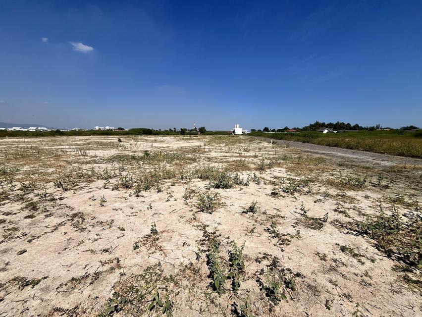 ที่ดินเปล่า หัวหิน-ชะอำ 5