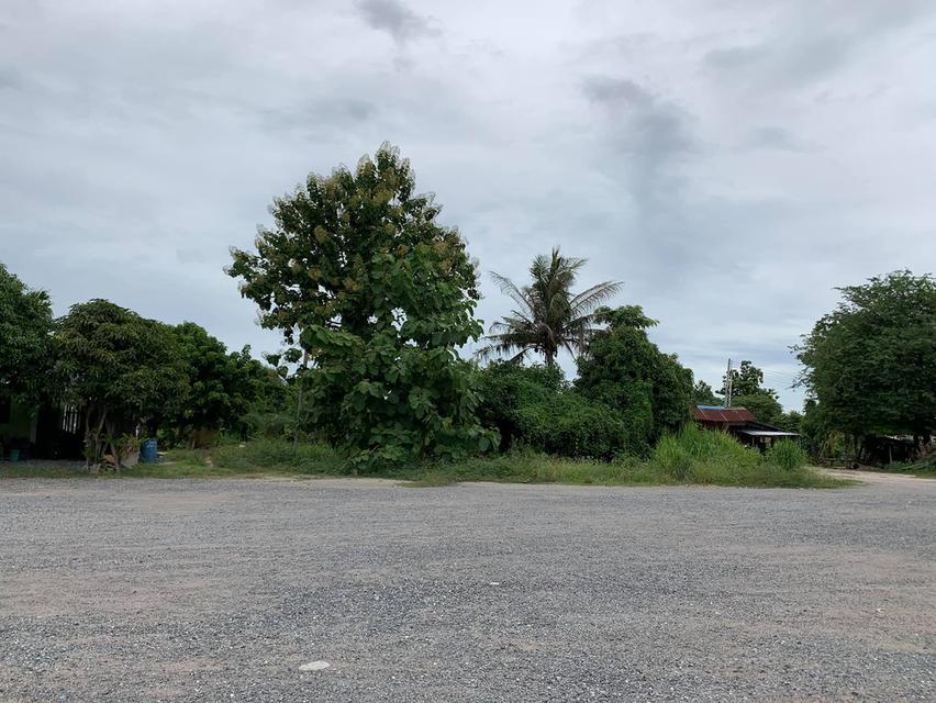 ขายที่ดินหนองมะนาว ซอยทุ่งกราด 4 ไร่ ถมแล้วติดถนนคอนกรีต ใกล้ถ.สุขุมวิท(3)-2 กม. ใกล้ท่าเรือแหลมฉบัง-8 กม. ชลบุรี 10