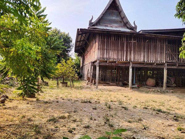 รูป ขายที่ดิน เนื้อที่ 320 ตรว. ต.ท่าพี่เลี้ยง อ.เมือง จ.สุพรรณบุรี มีบ้านไม้ 2 หลัง โทร 081-7957267