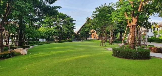P756 ให้เช่าบ้านเดี่ยวโครงการ บุราสิริ พัฒนาการ Burasiri Pattanakarn ซอยพัฒนาการ 87 ตกแต่งสวยพร้อมอยู่ 15