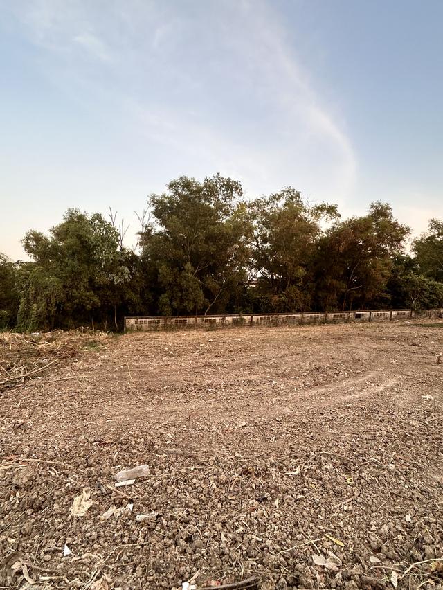 ให้เช่าที่ดินกรุงเทพหนองจอก 3