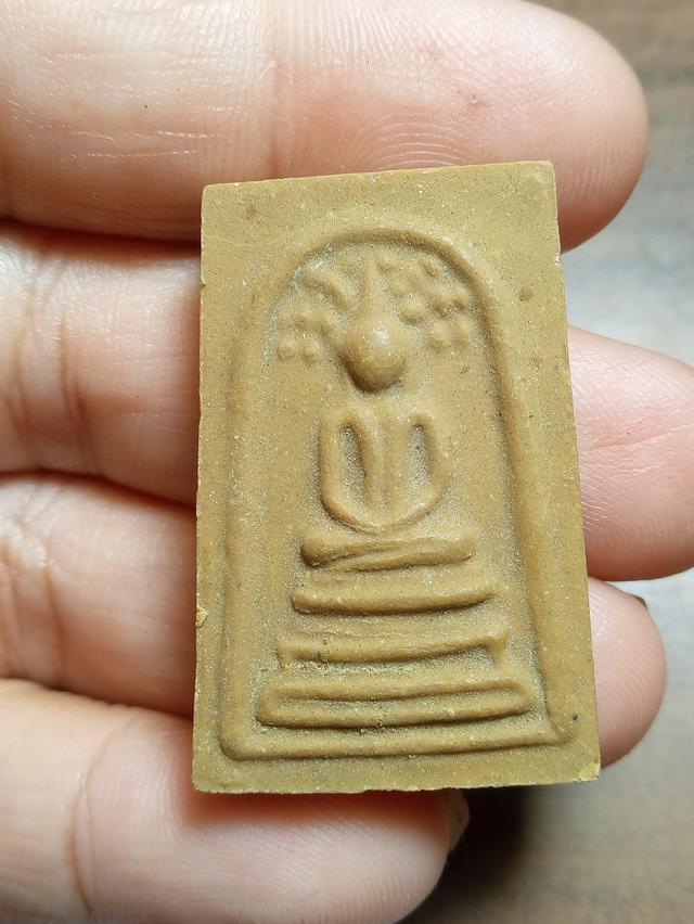 สมเด็จปรกโพธิ์หลวงปู่โต๊ะฝั่งตะกรุด