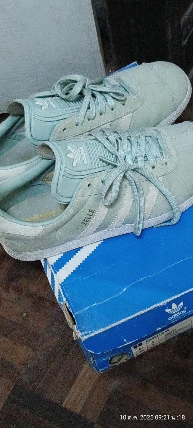 รองเท้าผ้าใบ     สีเขียวเทาอ่อน