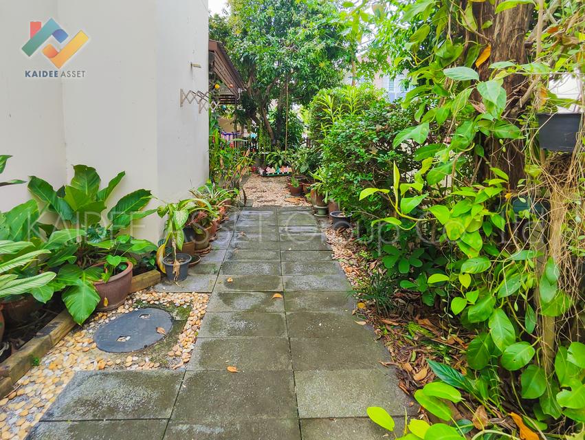 หมู่บ้าน ลภาวัน 19 บ้านเดี่ยว ราชพฤกษ์ ปากเกร็ด ราคาถูก 16