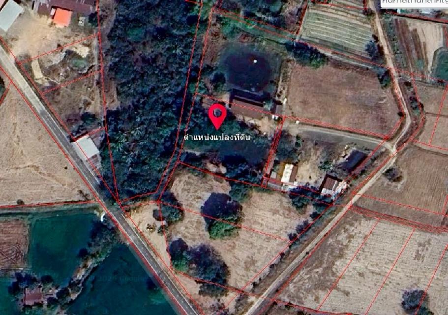 ขายที่ดินแปลงใหญ่ บ้านทุ่งขุนน้อย อุบลราชธานี ** เพียง 1.5 ลบ. ฟรีโอน ** (N.2029) 15