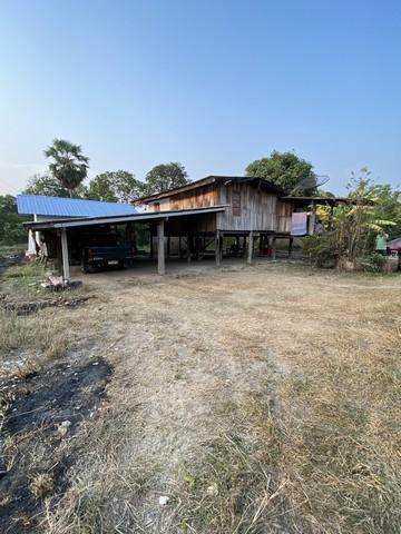 พร้อมโอนบ้านไม้ยกพื้นสูงค่ายระจันเมืองสิงห์ 262 ตารางวา จังหวัดสิงห์บุรี ต.โพทะเล วิถีไทย 262 วา ต.โพทะเล อ.ค่ายบางระจัน 1