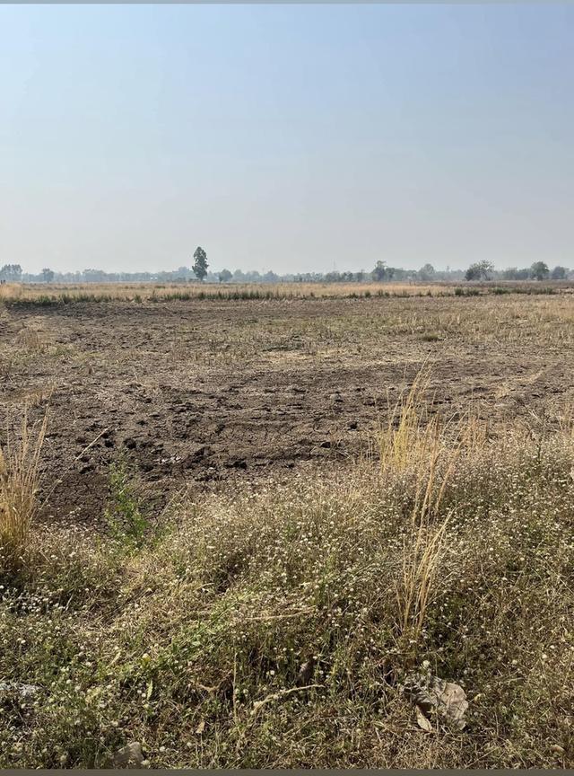 ขายที่ดิน 15 ไร่ ทำเลดี ติดกองบิน 4 ตาคลี เข้า ออกสะดวก น้ำไม่ท่วม 3