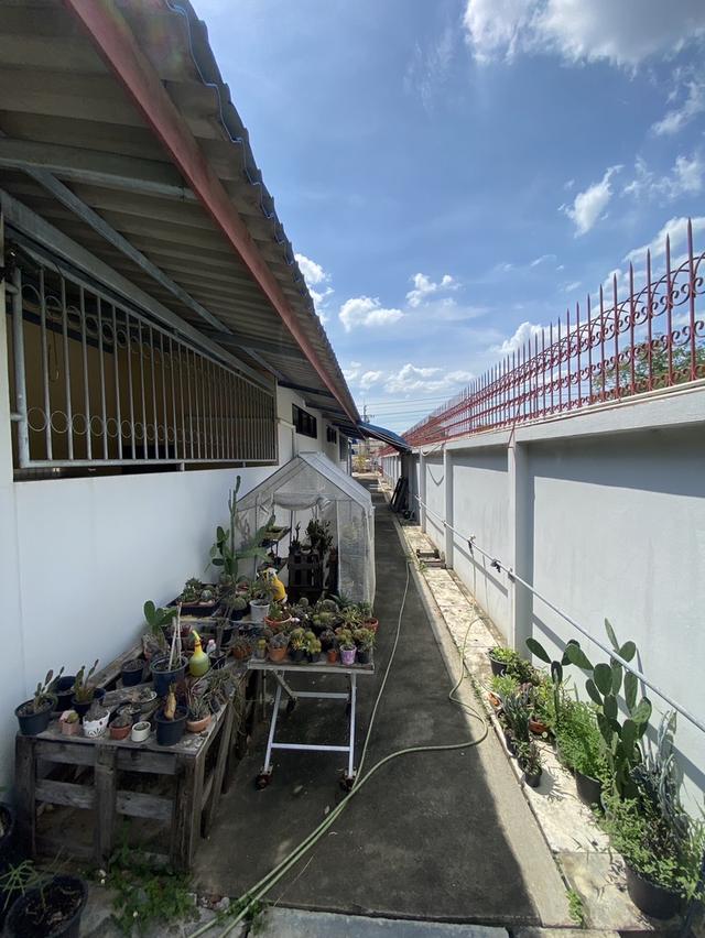 🏗🏢 ขายที่ดินพร้อมสิ่งปลูกสร้าง 2ไร่ 18ตร.วา ติดถนนใหญ่ (ปิ่นเกล้า-นครชัยศรี) 12