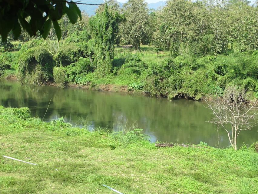 ที่ิดินพร้อมสวนทุเรียน จ.กาญจนบุรี อ.ทองผาภูมิ 12