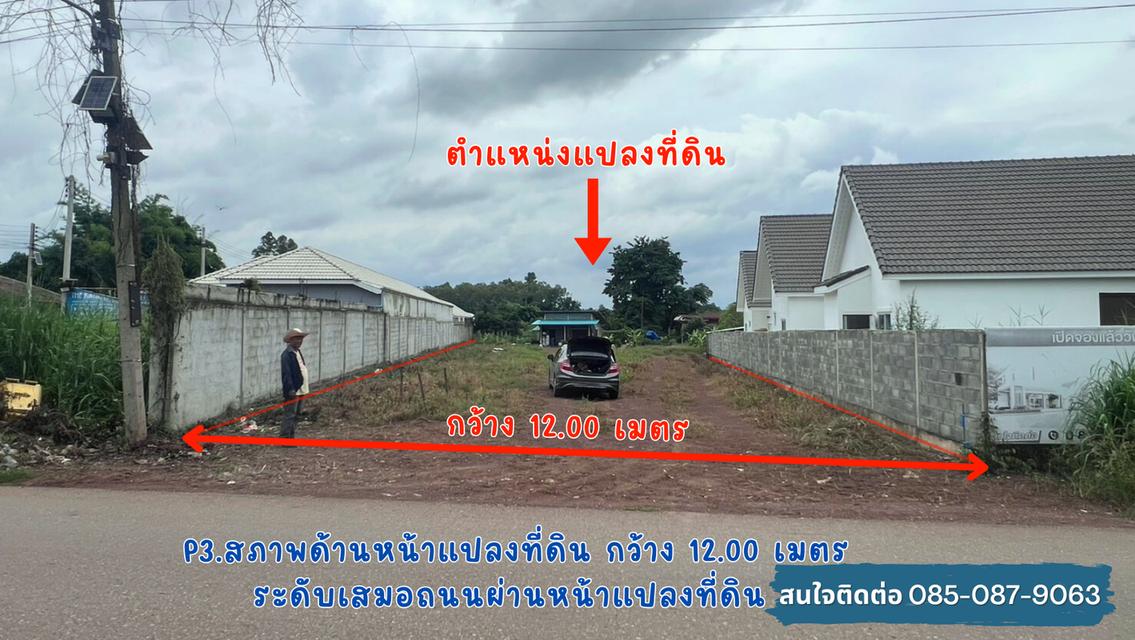 ที่ดินเปล่า 5