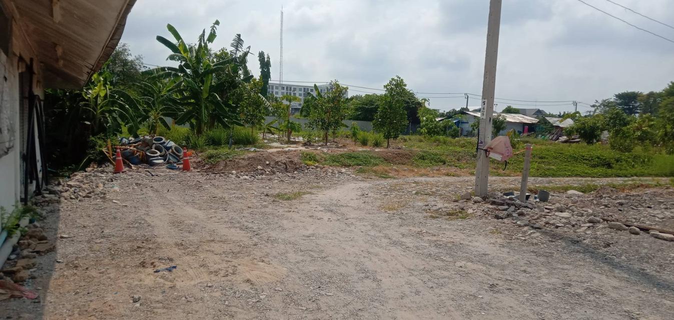 ที่ดินให้เช่าถนนพระราม2ในซอย31 4