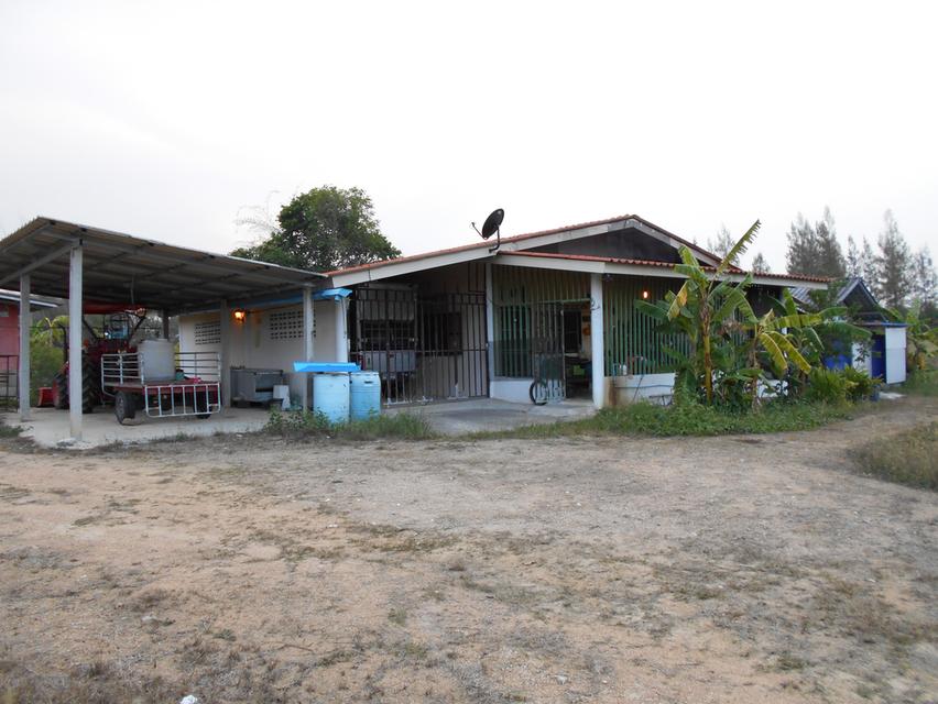 ขายที่ดิน 10 ไร่ พร้อมบ้าน ติดลำห้วย 3 สาย ต.บ้านบึง อ.บ้านคา จ.ราชบุรี 16