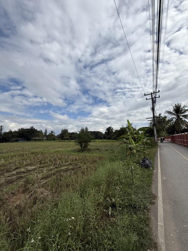 แบ่งขายที่ดิน 14 แปลง ขนาด 75-122 ตารางวา ตั้งอยู่ที่ ตำบลแม่ปูคา อำเภอสันกำแพง จังหวัดเชียงใหม่ (เจ้าของขายเอง) โทร 0806169615 4