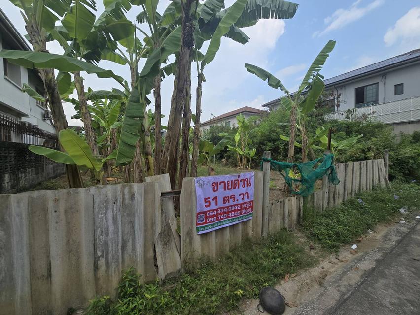ที่ดิน 51 ตร.ว. บรมราชชนนี 74 เขตทวีวัฒนา กรุงเทพฯ 5