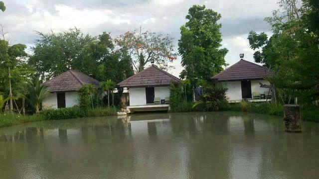 ขายถูกที่ดินทำเลทองพร้อมบ้าน 12 หลัง+เรือนไทย 1 หลัง รังสิตคลอง7 เนื้อที่ 3-0-85 ไร่ ขายยกแปลง 35 ล้าน ธัญบุรี ปทุมธานี 12110 1