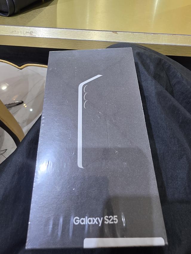 Samsung Galaxy S25