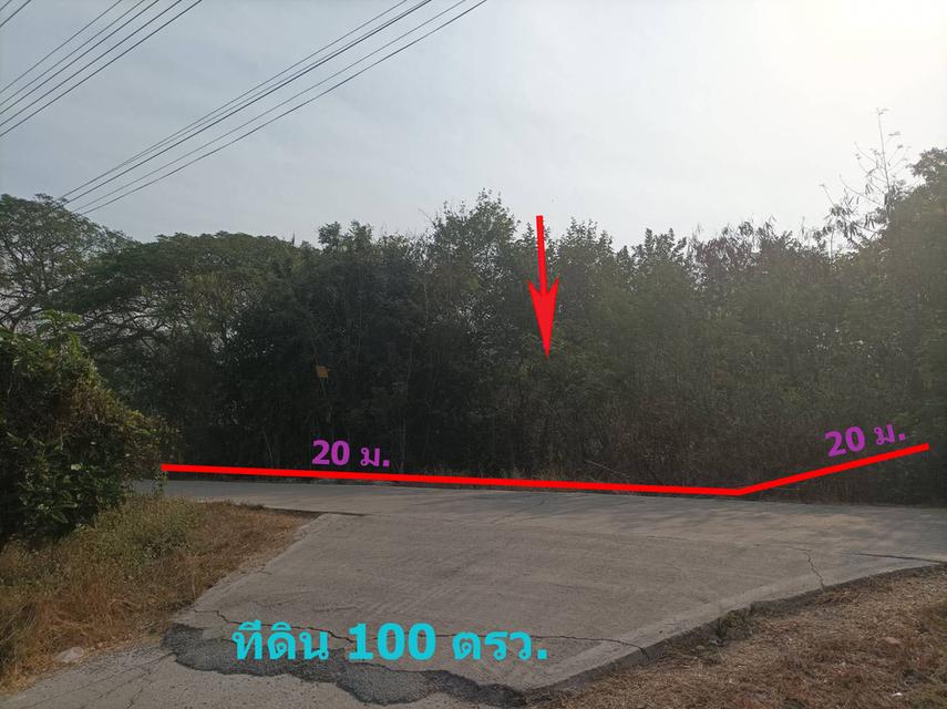 ขายที่ดินราคาถูก 100 ตรว. 5