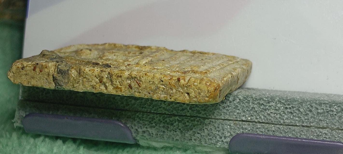 พระสมเด็จบางขุนพรหม พิมพ์ใหญ่พระประธาน 3