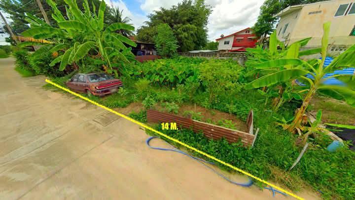 ขายที่ดิน 50 ตารางวา 1