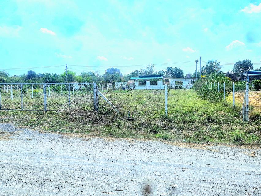 ขายที่ดินโฉนด200ตรว ติดชุมชน ต.พลับพลาไชย อ.อู่ทอง จ.สุพรรณบุรี 3